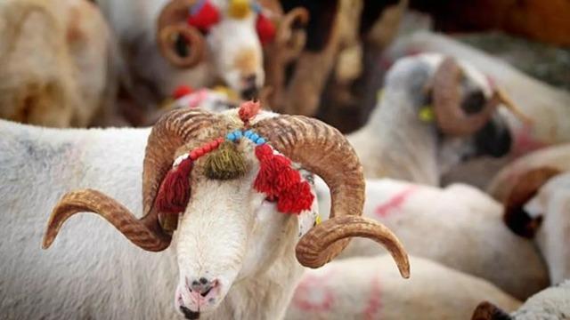 2024 Kurban Bayramı ne zaman, hangi gün? Kurban Bayramı tatili kaç gün sürecek? Diyanet dini bayram takvimi