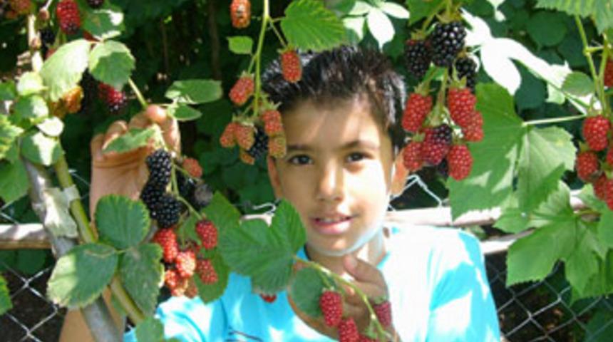 Şifa Kaynağı b&ouml;ğ&uuml;rtleni bol bol t&uuml;ketin