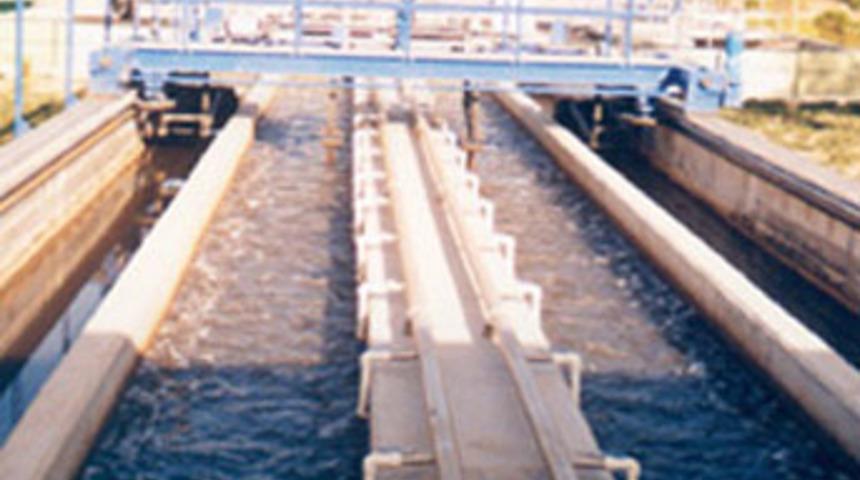 Kanalizasyonda inanılmaz vahşet