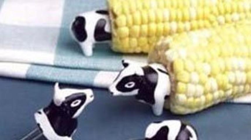 Hayatı kolaylaştıran buluşlar