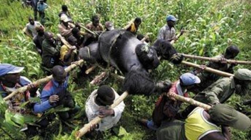 Basın Fotoğrafı &Ouml;d&uuml;l&uuml; Tim Hetherington'ın