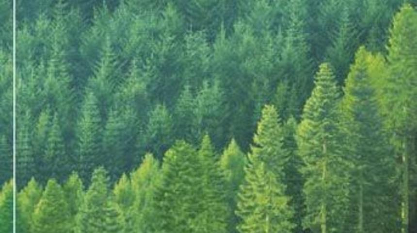 &Ccedil;evreye yatırım yapan ilk fon!