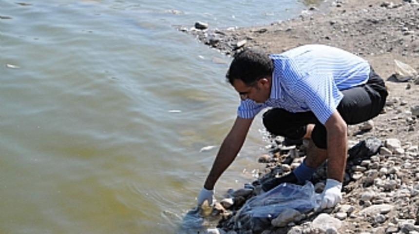 G&ouml;kpınar Baraj G&ouml;l&uuml;'ndeki balık &ouml;l&uuml;mleri s&uuml;r&uuml;yor