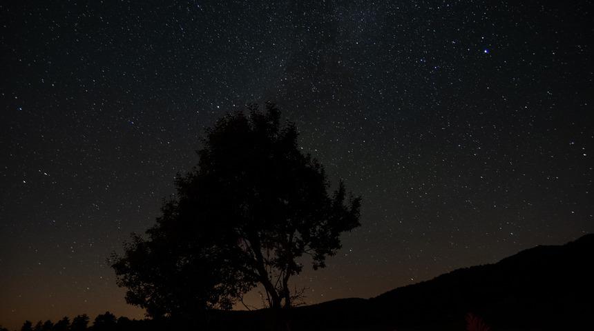 Balıkesir'deki Gökyüzü Gözlem Şenliği'nde meteor yağmurunu izlediler