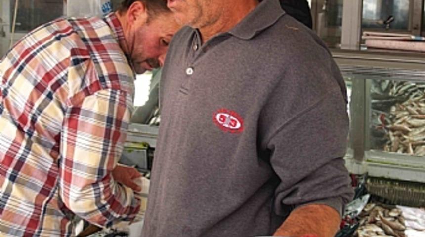 Gelibolu'da palamut bolluğu