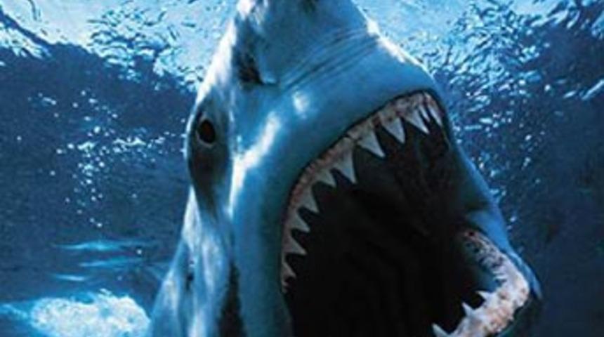 K&ouml;pekbalığı balık&ccedil;ıyı yedi