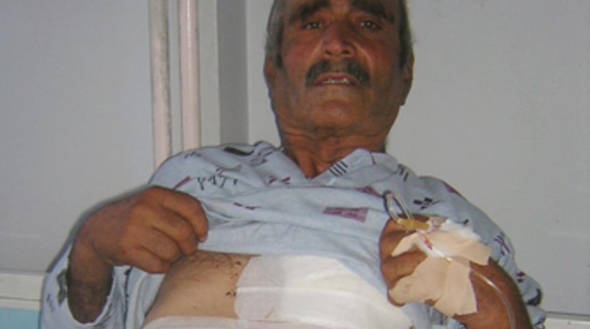 A&ccedil; ayıların saldırısından zor kurtuldu