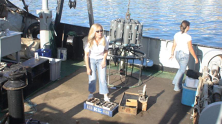 "Arar" kirliliği araştırıyor