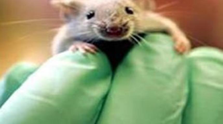 16 yıl sonra dirilttiler!