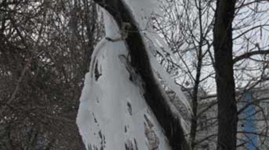 Doğu'da Sibirya soğukları etkili