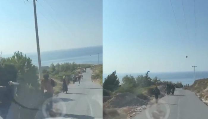 Burası Alaçatı! Denize giderken gördüler ve video çektiler… Görüntüler sosyal medyada gündem oldu: Yakalandılar