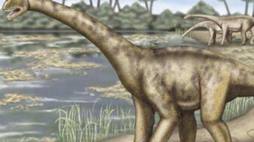Dinozorların yok olmasına ilişkin yeni teori