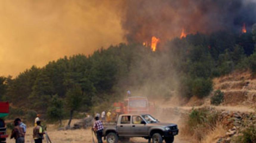 Manavgat'ta 200 hektarlık orman k&uuml;l oldu