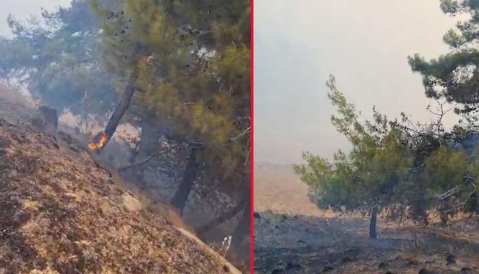 Adana’da orman yangını! Havadan ve karadan müdahale ediliyor