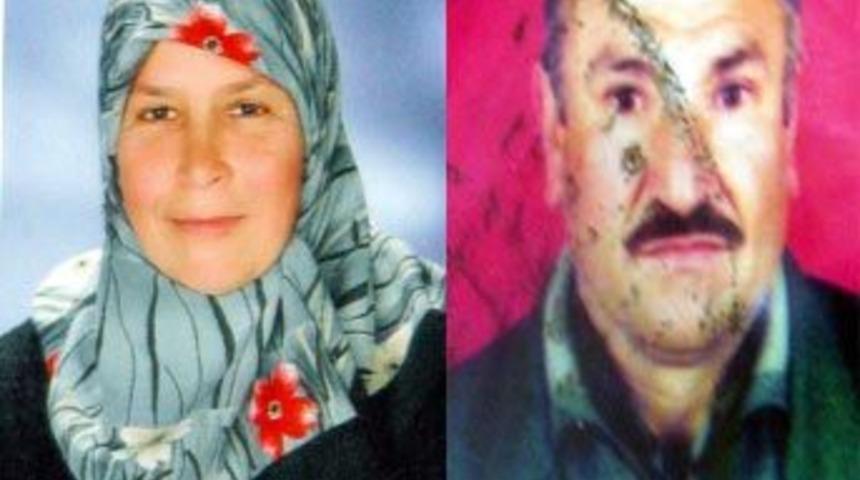 Samsun'da 2 kişi keneden öldü