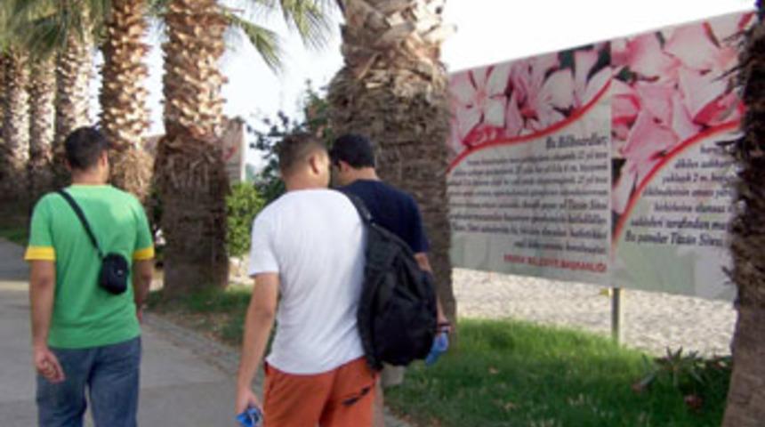 Ağa&ccedil; kesen site sakinlerine ilgin&ccedil; ceza