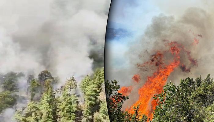 Antalya, Denizli, Eskişehir ve Bolu’da orman yangını! Antalya’daki yangın büyüme eğiliminde