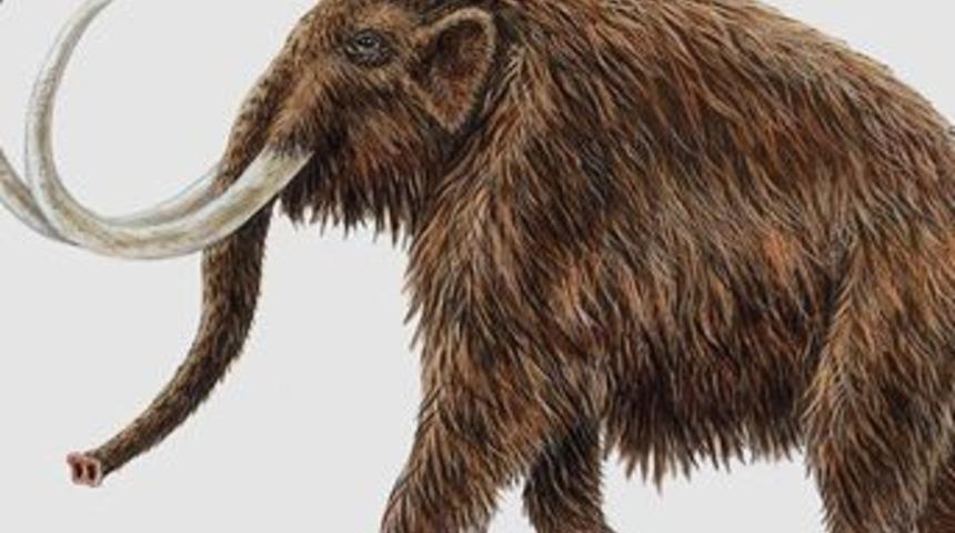 Buz devri ger&ccedil;ek oldu