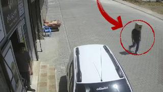 Yer: Mardin! Gören şaşkına döndü, başında karton kutuyla dolaştı: Sebebi ise...