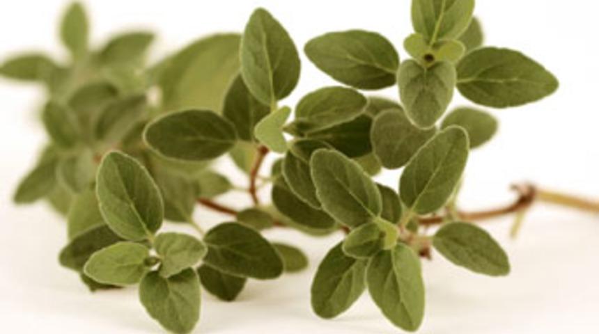 Sağlık kaynağı 5 baharat!