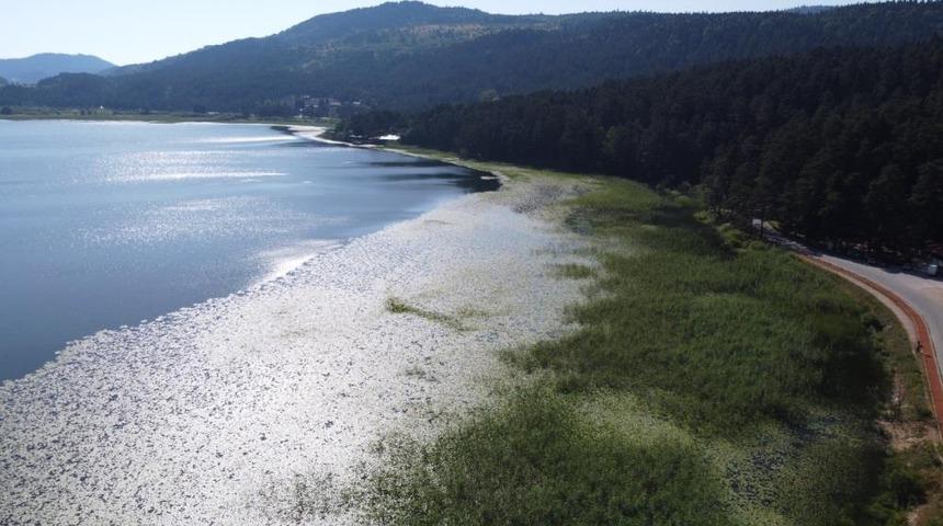 Rekor kırıldı! Bolu son 94 yılın en sıcak günü yaşandı