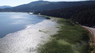 Rekor kırıldı! Bolu son 94 yılın en sıcak günü yaşandı