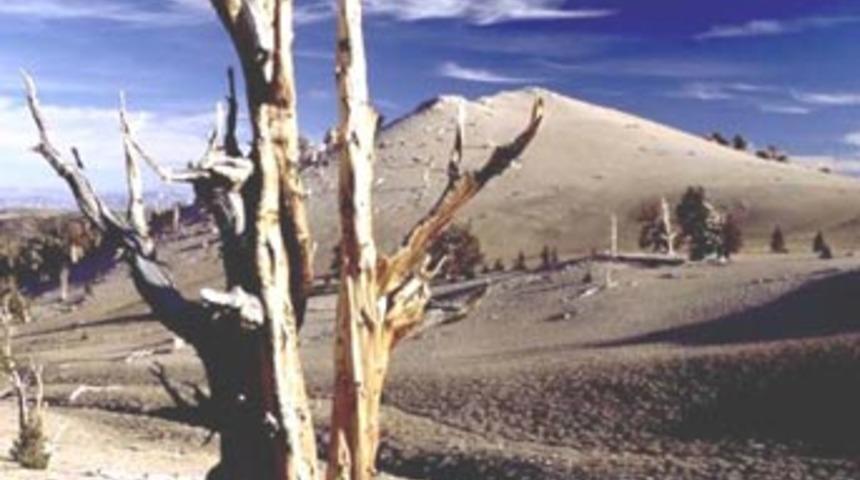 "Azalan su T&uuml;rkiye i&ccedil;in felaket tehdidi"