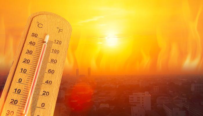 Bakan Özhaseki Türkiye’de sıcaklık rekoru kırıldığını açıkladı! O ilçede termometreler 49,5 dereceyi gösterdi