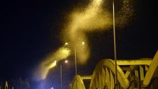 Sakarya'da her yıl tekrarlanan ilginç doğa olayı yeniden gerçekleşti: Sebebi bilinmiyor! 