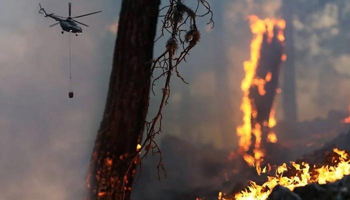 3 ilde orman yangını! Bolu, Bingöl ve Eskişehir’de dumanlar yükseliyor