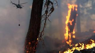 3 ilde orman yangını! Bolu, Bingöl ve Eskişehir'de dumanlar yükseliyor