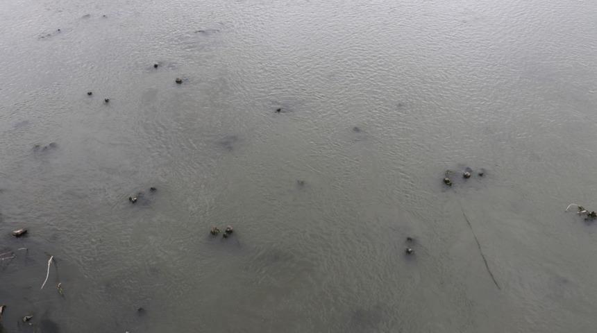 Kuraklık nedeniyle su seviyesi azalan Meriç Nehri'nde tarihi köprünün ayakları ortaya çıktı