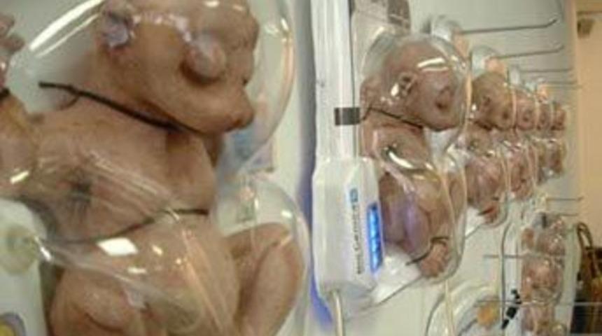 Yarı insan yarı inek &uuml;retilecek