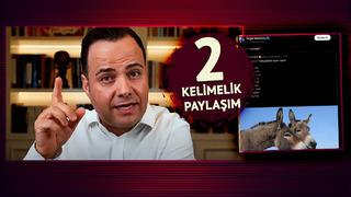 Özgür Demirtaş'ın 'eşek' paylaşımını sosyal medya yorum yağmuruna tuttu! Gelen yanıtlar şaşırttı: 'Hocam zorla hapse attıracaksın bizi'