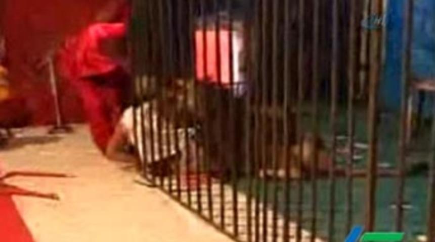 Kafeste dehşet dakikaları