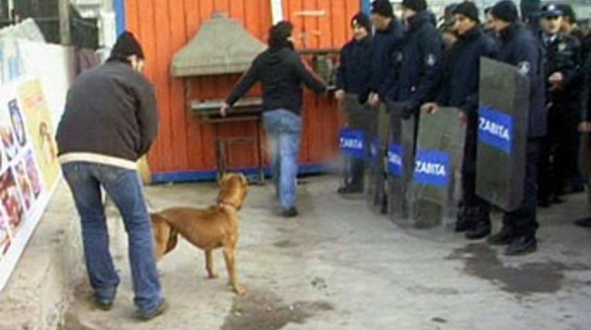 Yıkımda ikinci kez "pitbull" krizi