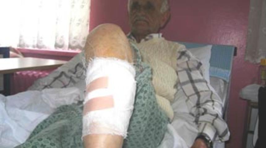 Ayı saldırısına uğrayan şahsın sitemi