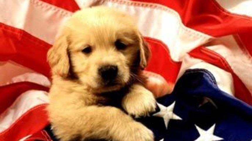 Milyarlarca dolar servet k&ouml;peklere kaldı