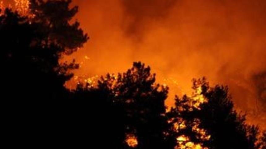 Antalya'daki orman yangının bilançosu 5.4 milyon YTL