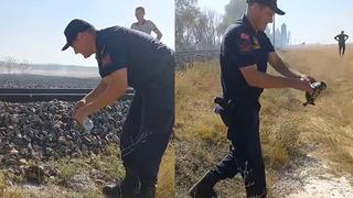 O görüntüler görenlerin içini ısıttı! Su verip yıkadı, elleriyle güvenli bir alana taşıdı