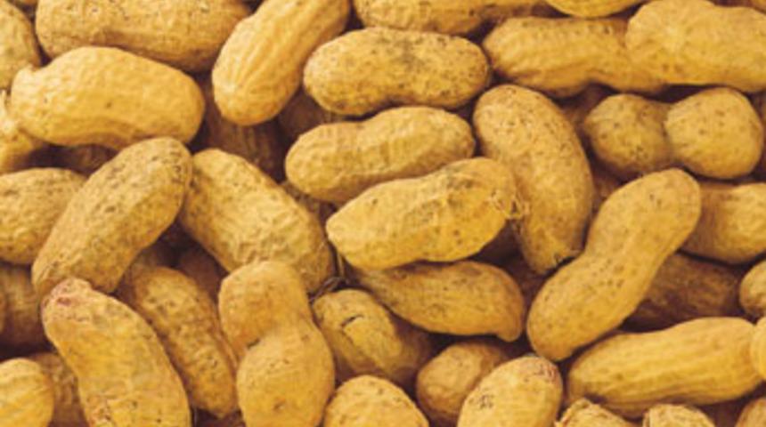 Zararlı 11 yiyecek!