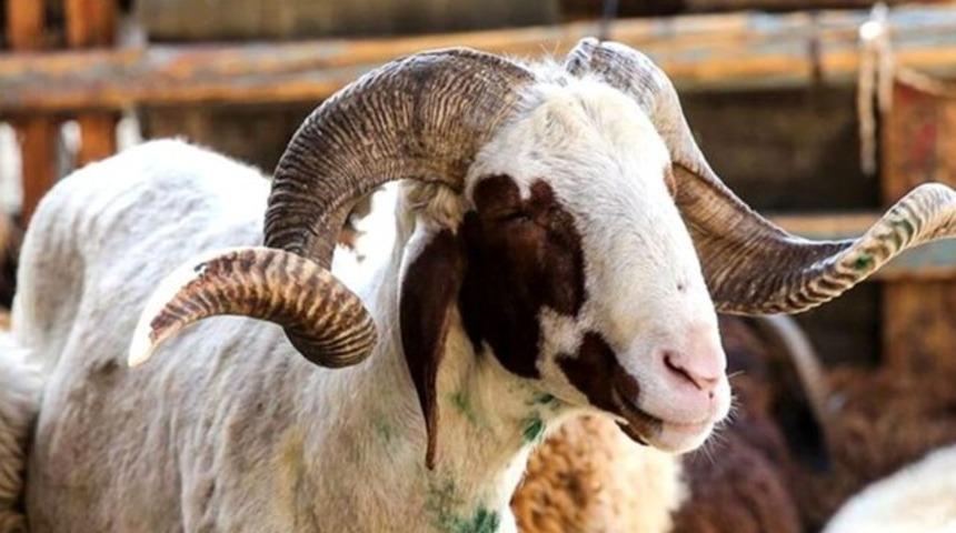 2024 Kurban Bayramı tatili kaç gün? Kurban Bayramı ne zaman, hangi gün? Diyanet ile 2024 dini bayramlar