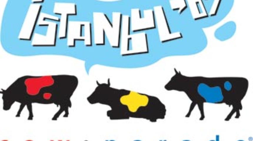 İstanbul'da rengarenk inek ge&ccedil;idi