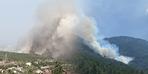 Kocaeli ve Bolu'da orman yangını çıktı!