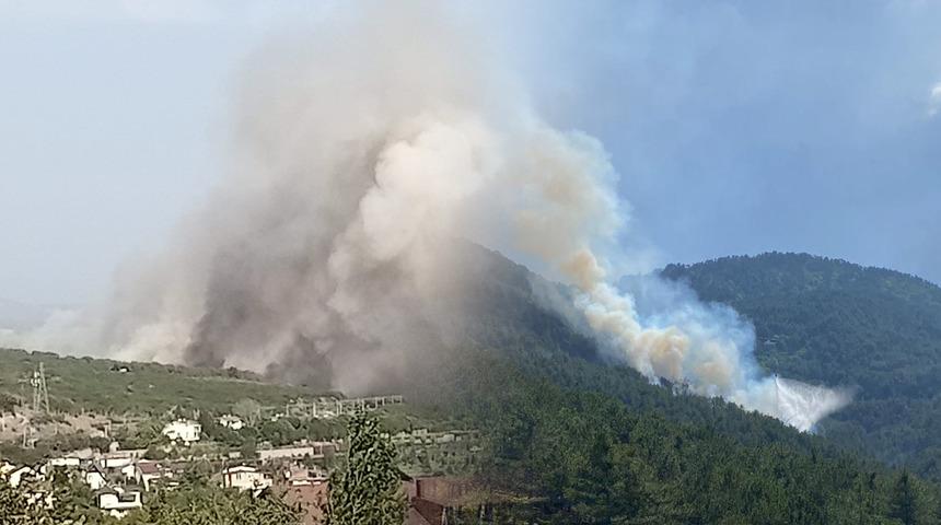 İki ilde orman yangını: Ekiplerin müdahaleleri sürüyor!
