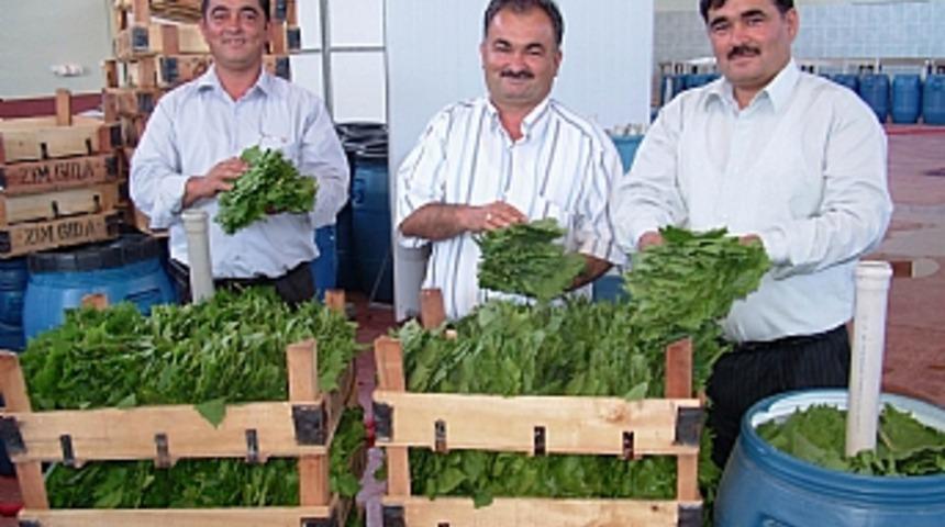 İş&ccedil;ilikten fabrikat&ouml;rl&uuml;ğe