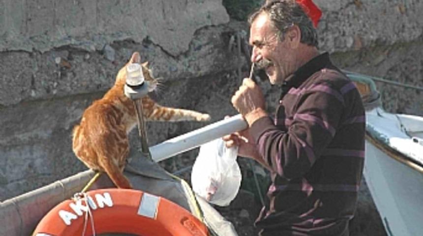 Kedilerin balık n&ouml;beti  