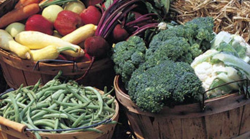 Bağışıklık sisitemini g&uuml;&ccedil;lendiren s&uuml;per besinler