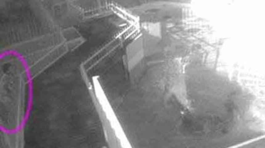 7 yaşındaki &ccedil;ocuk dehşet sa&ccedil;tı