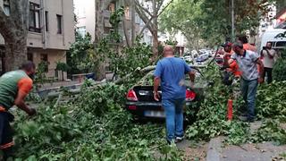 Ankara'da kuvvetli rüzgar! Hayatı olumsuz etkiledi: Ağaçlar devrildi, çatılar uçtu